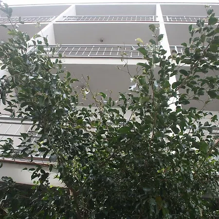 Torre Mar 3* סאלו